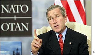 _38493275_bush_300ap.jpg